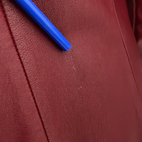 Danier Red Leather Jacket - Picture 11 of 13